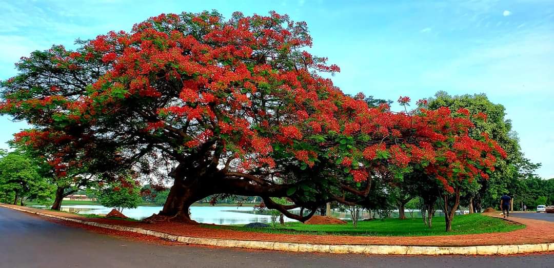 WhatsApp Image 2020-12-30 at 14.46.42.jpeg