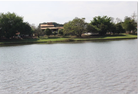 Screen Shot 09-06-21 at 01.02 PM.PNG