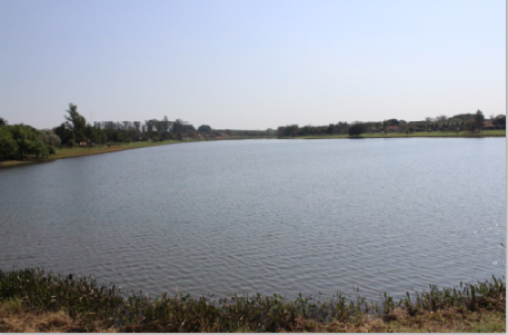 Screen Shot 09-06-21 at 01.02 PM 001.PNG